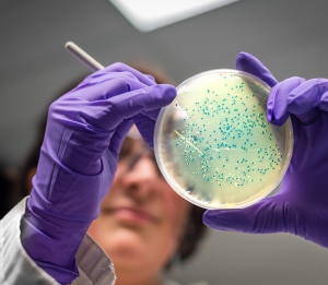 Microbiology for Non-Microbiologists. Teagasc Food Research Centre, Moorepark, Fermoy Co. Cork. October 2nd 2025